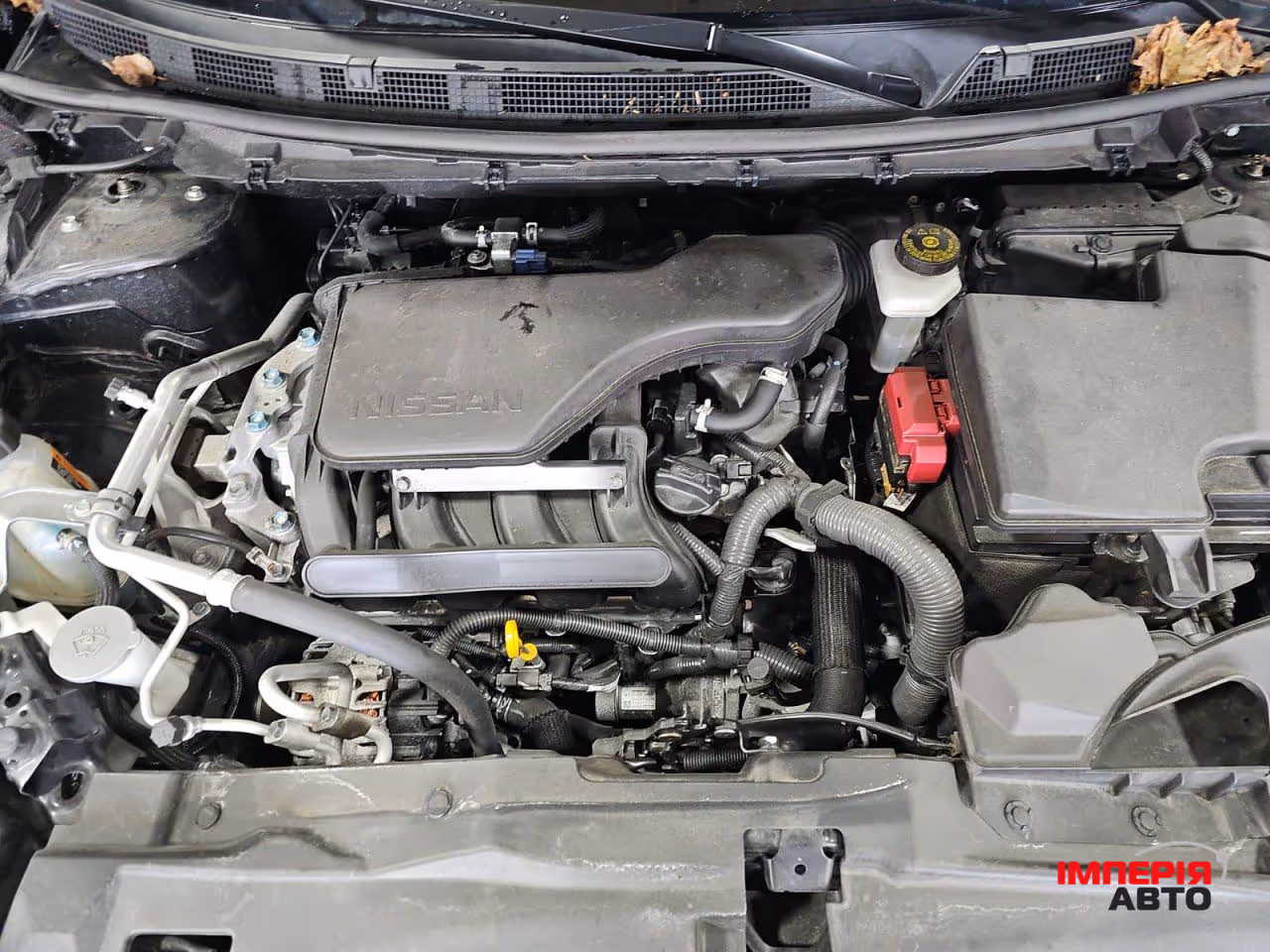 Nissan Rogue Sport - фото 12