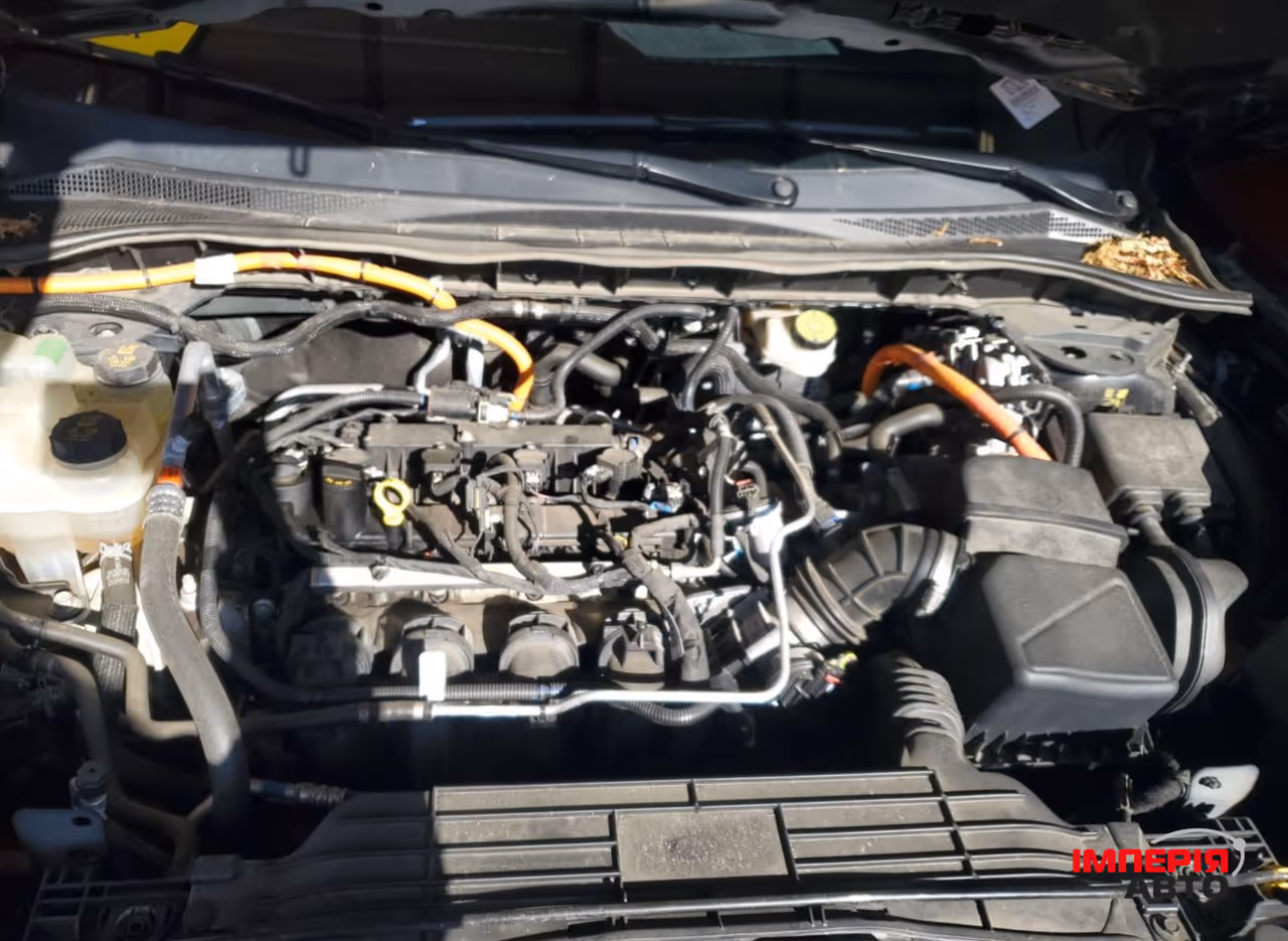 Ford Escape - фото 6