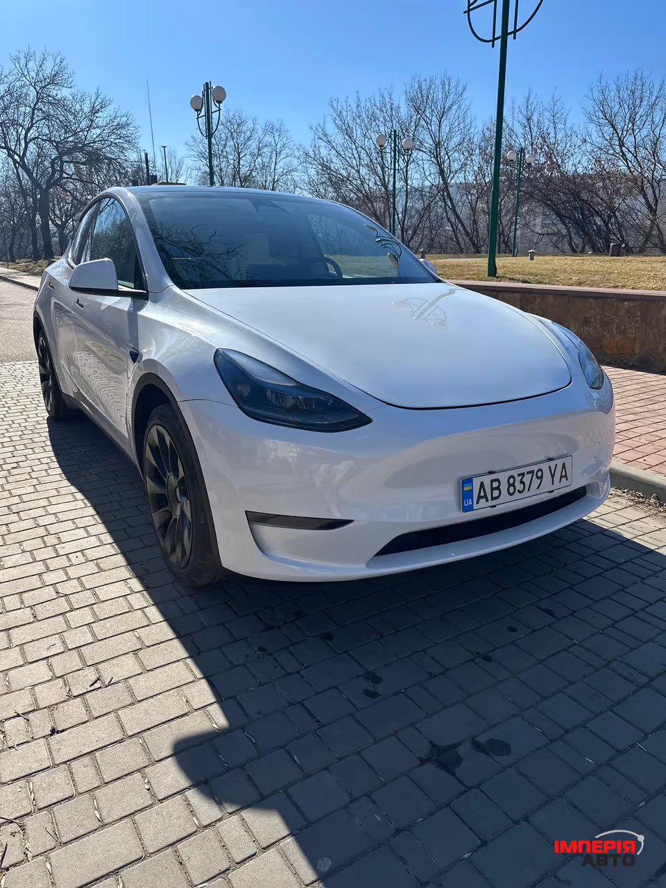Tesla Model Y - фото 6