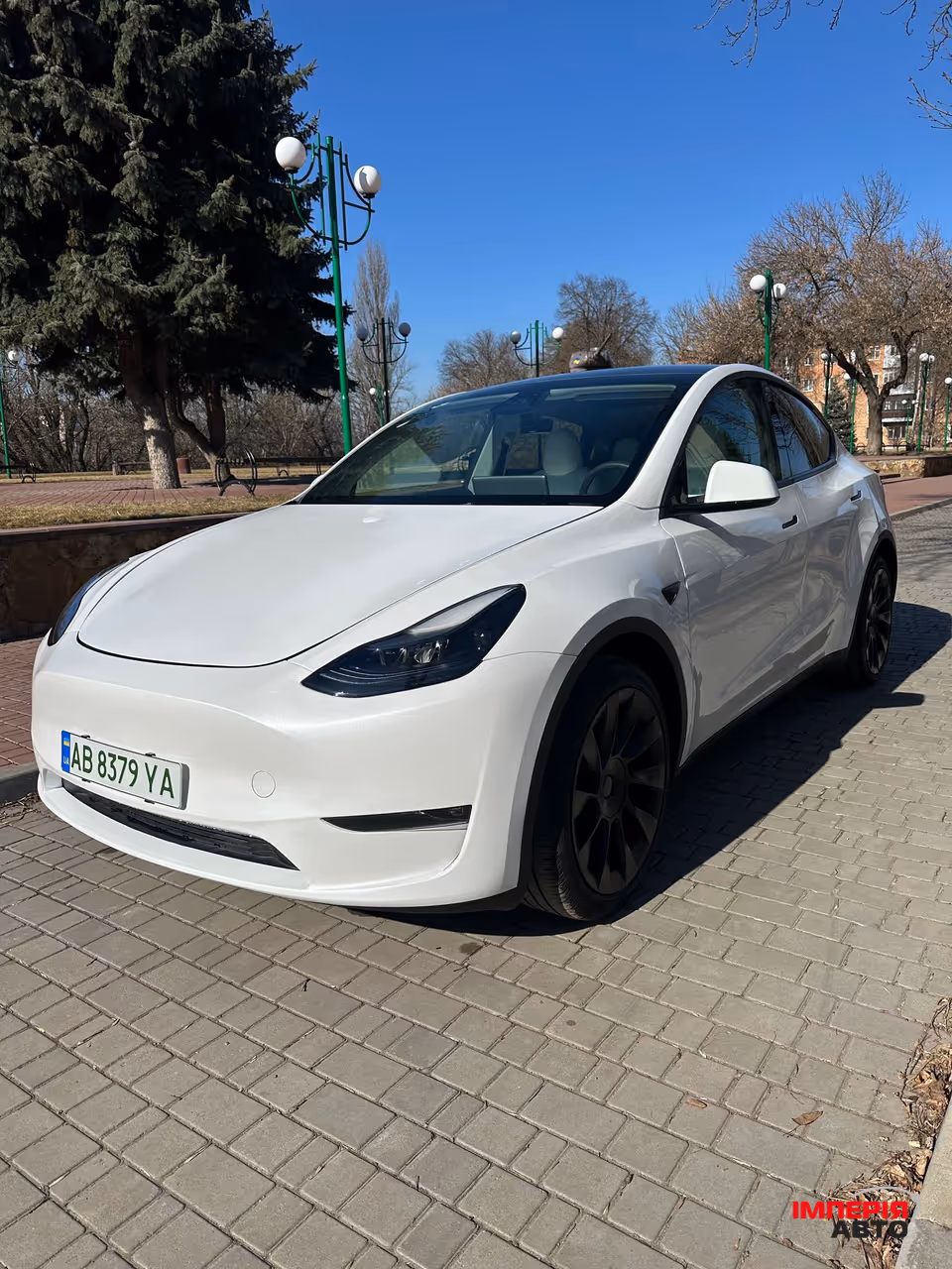 Tesla Model Y - фото 1
