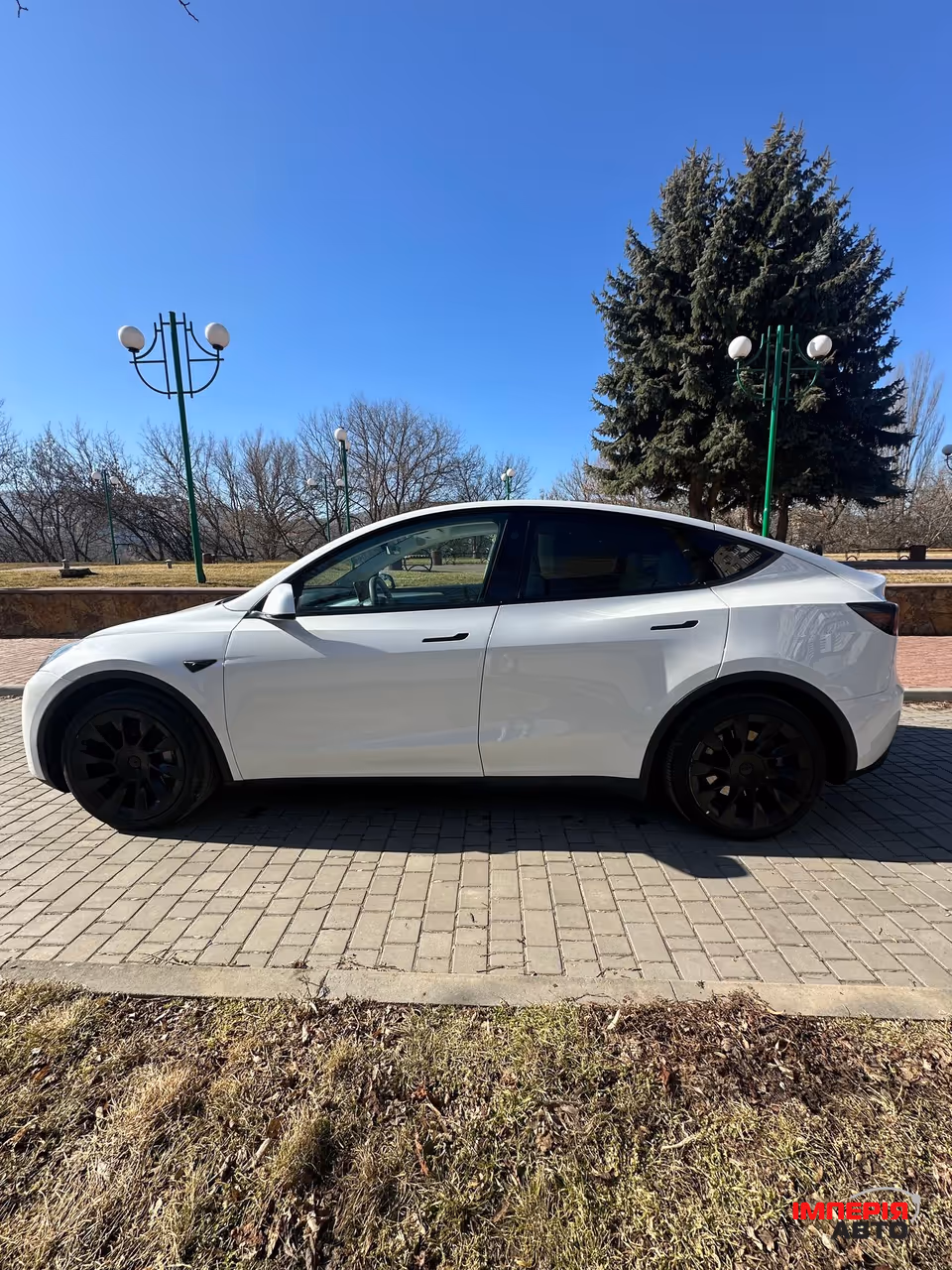 Tesla Model Y - фото 2