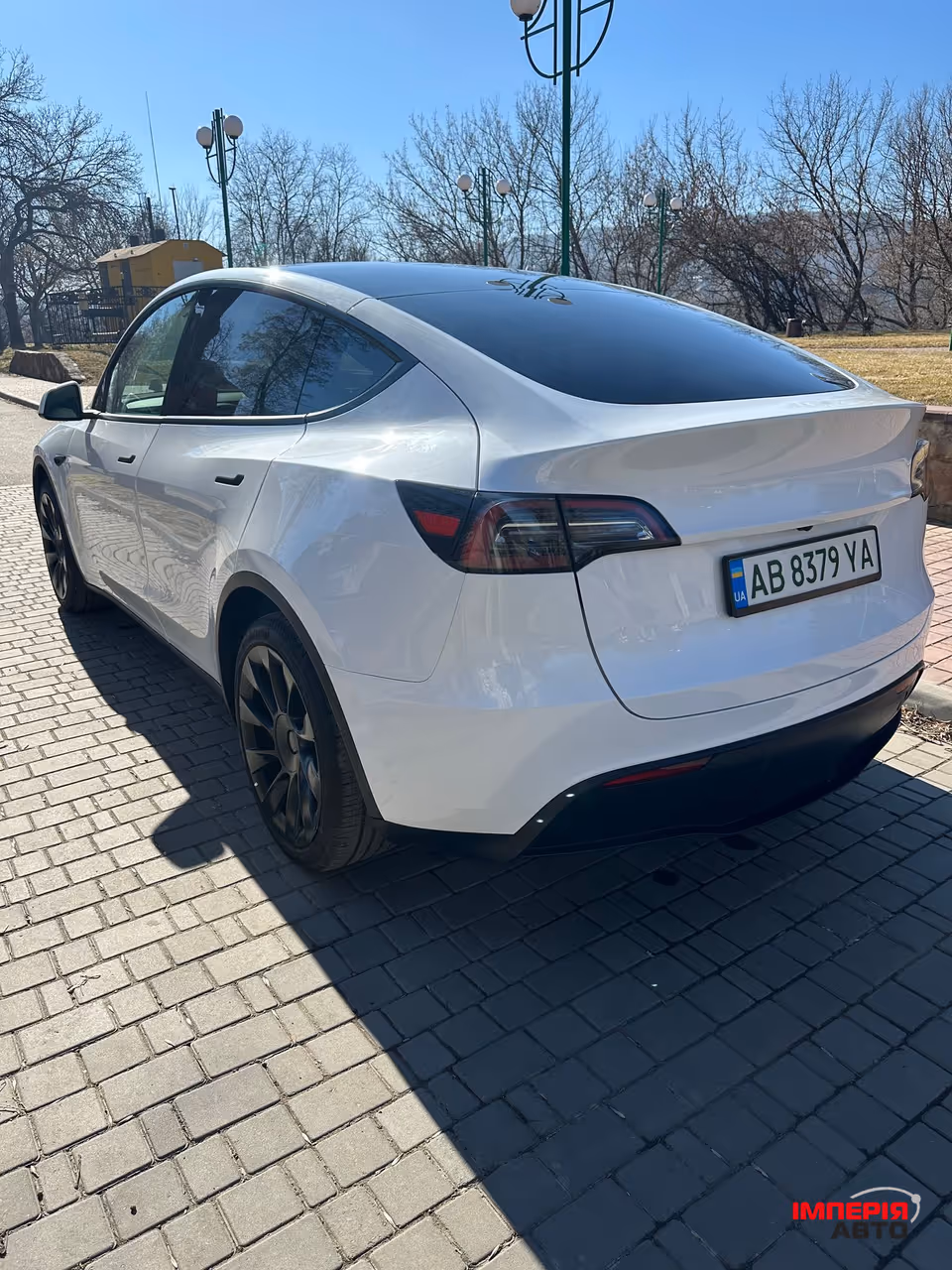 Tesla Model Y - фото 3