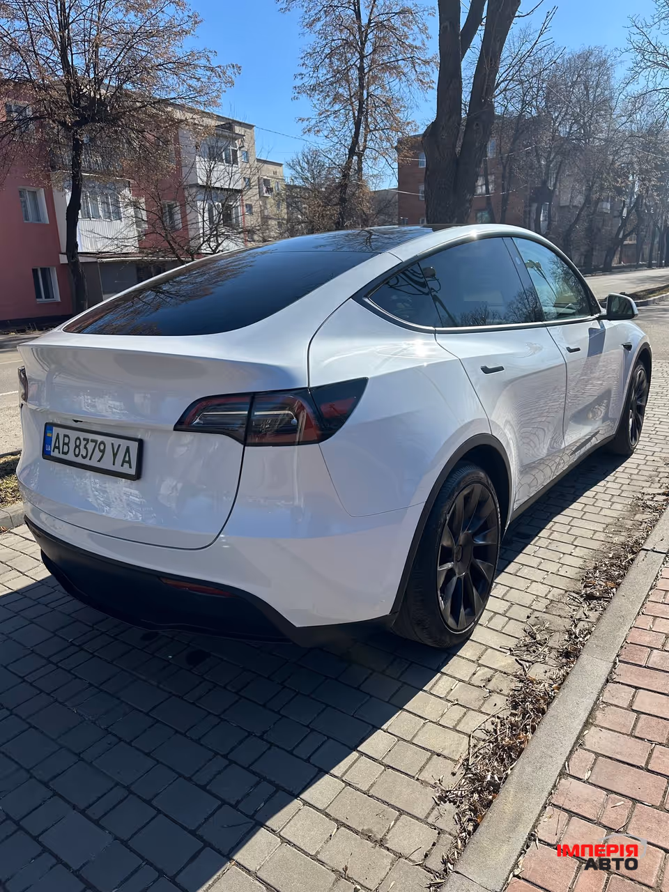 Tesla Model Y - фото 5