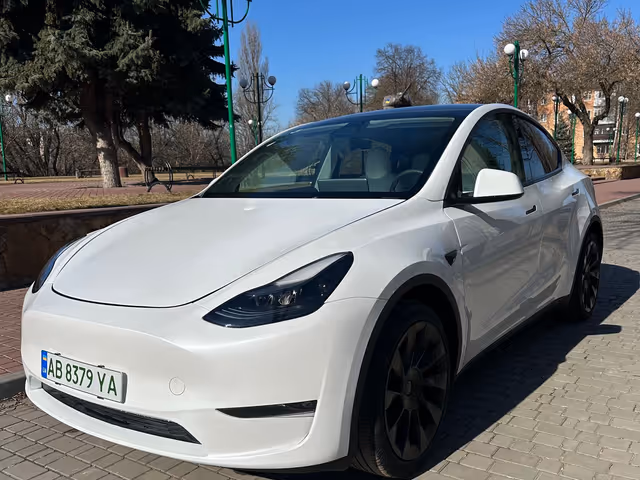 Tesla Model Y - фото 1