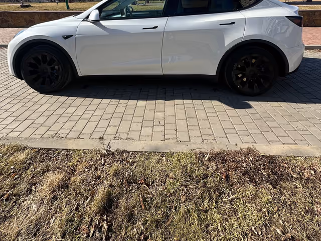 Tesla Model Y - фото 2