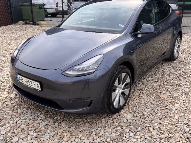 Tesla Model Y - фото 1