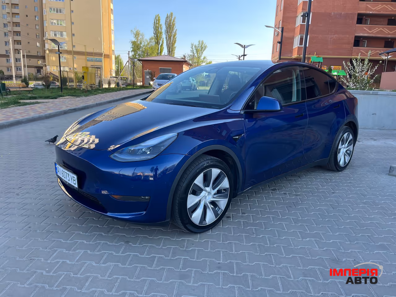 Tesla Model Y - фото 10