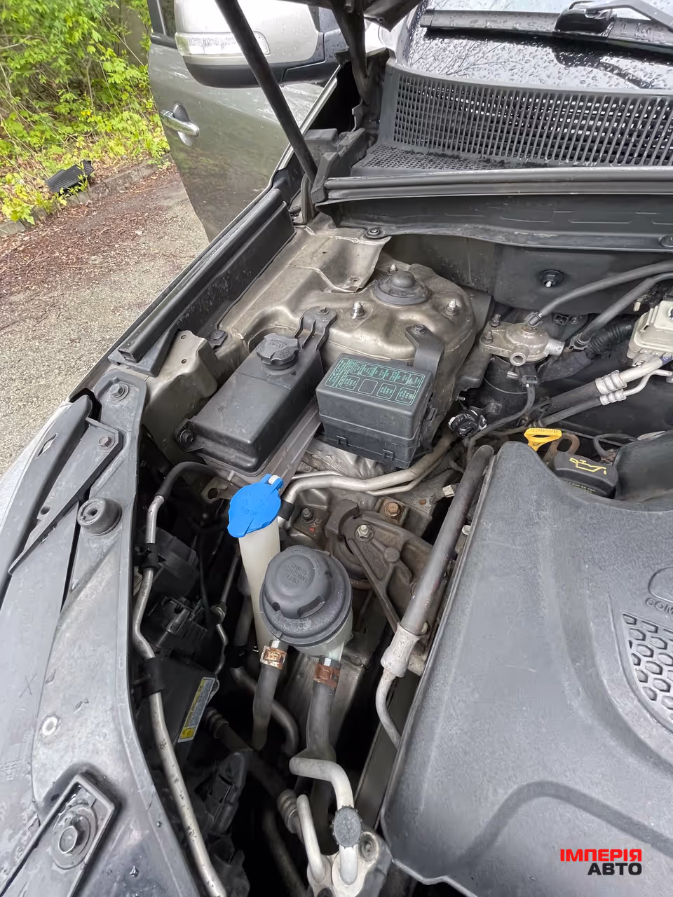 Kia Sorento - фото 2