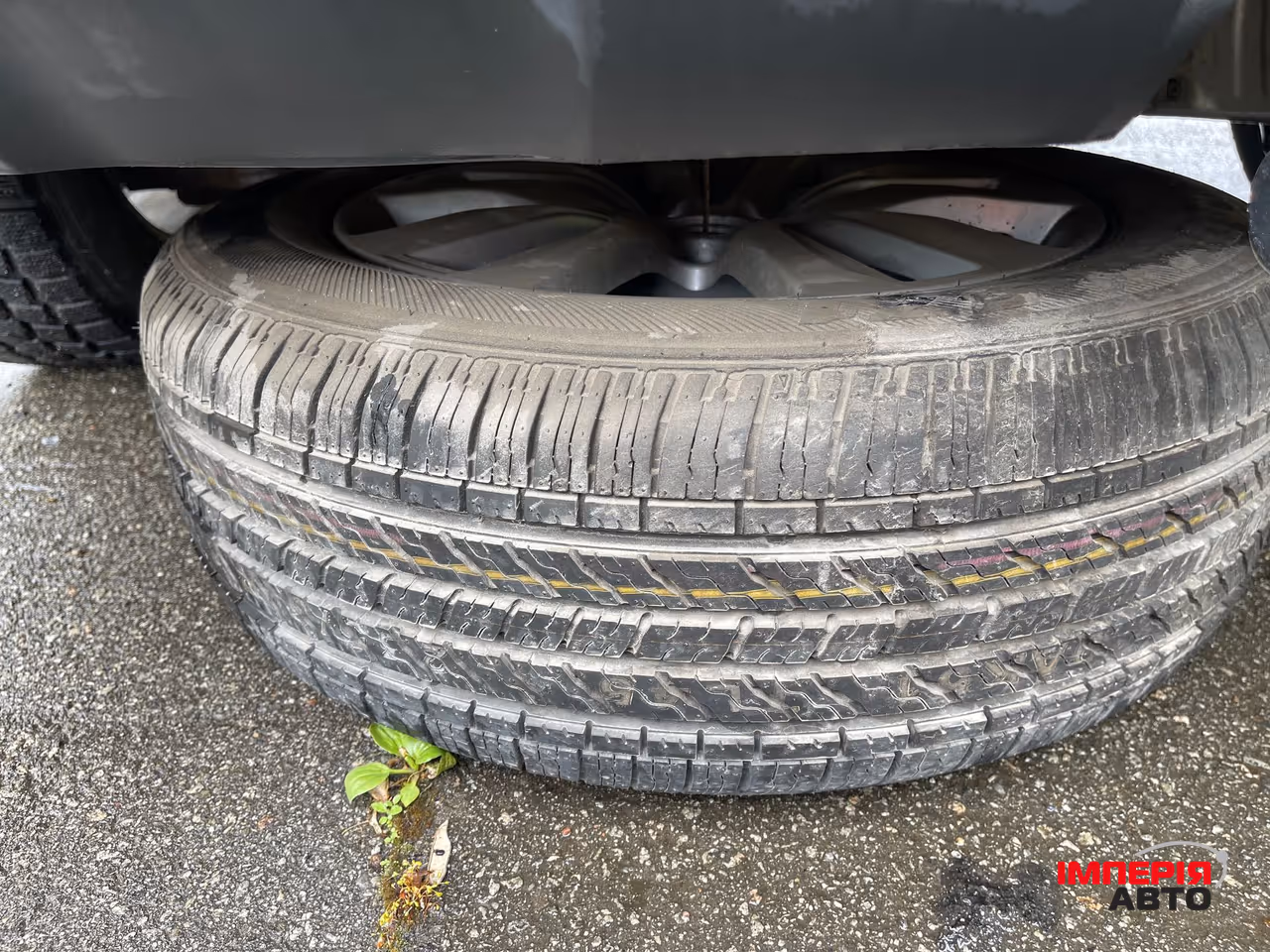 Kia Sorento - фото 48