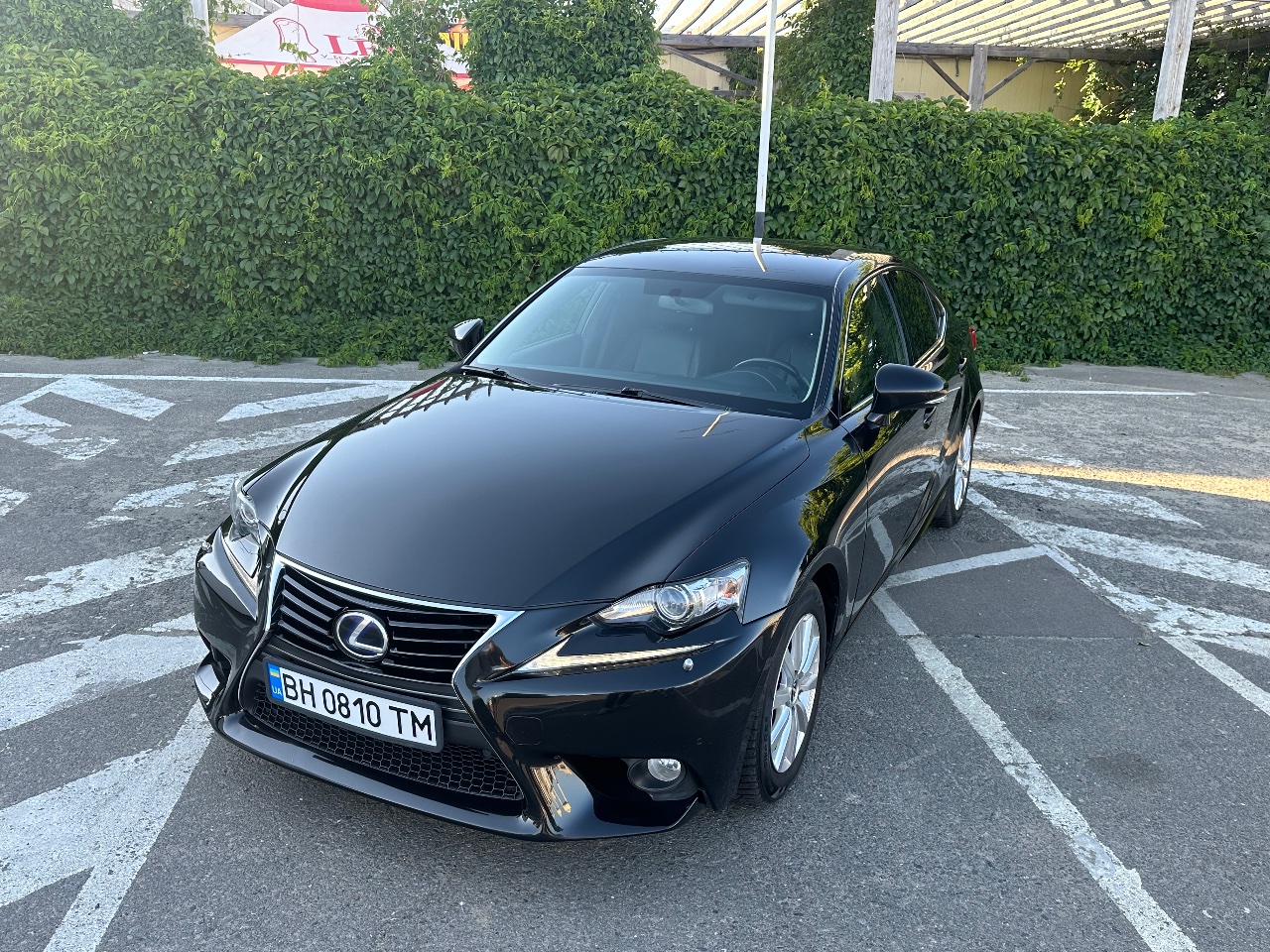 Lexus IS - фото 10