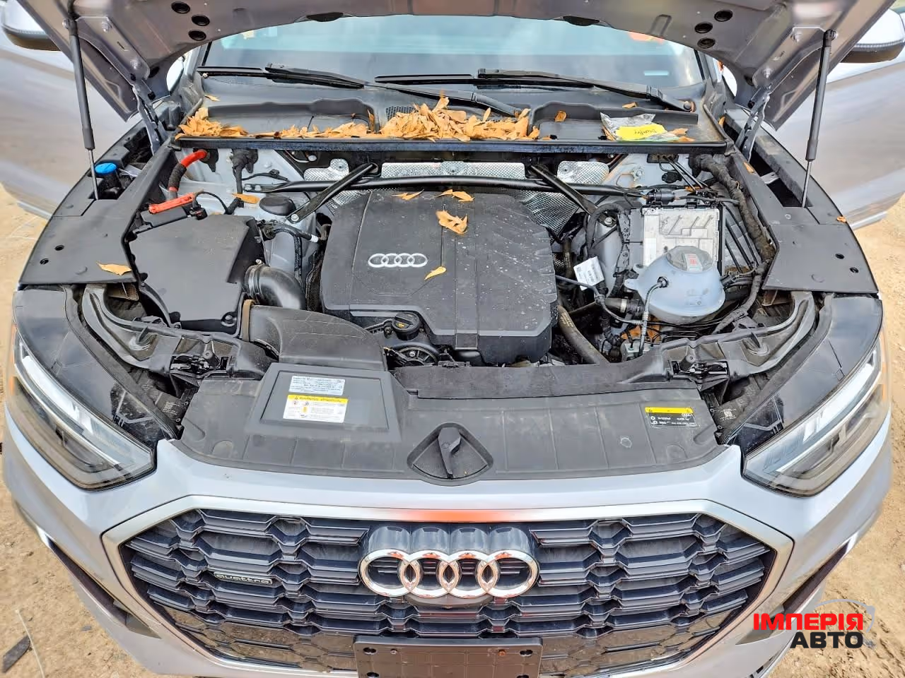 Audi Q5 - фото 2