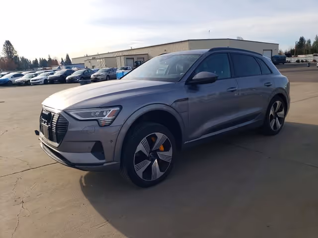 Audi e-tron - фото 1
