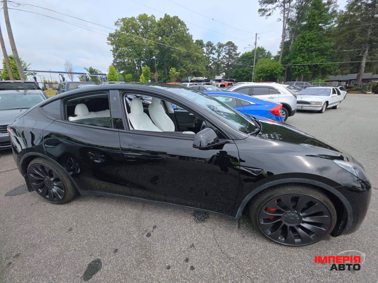 Tesla Model Y - фото 4