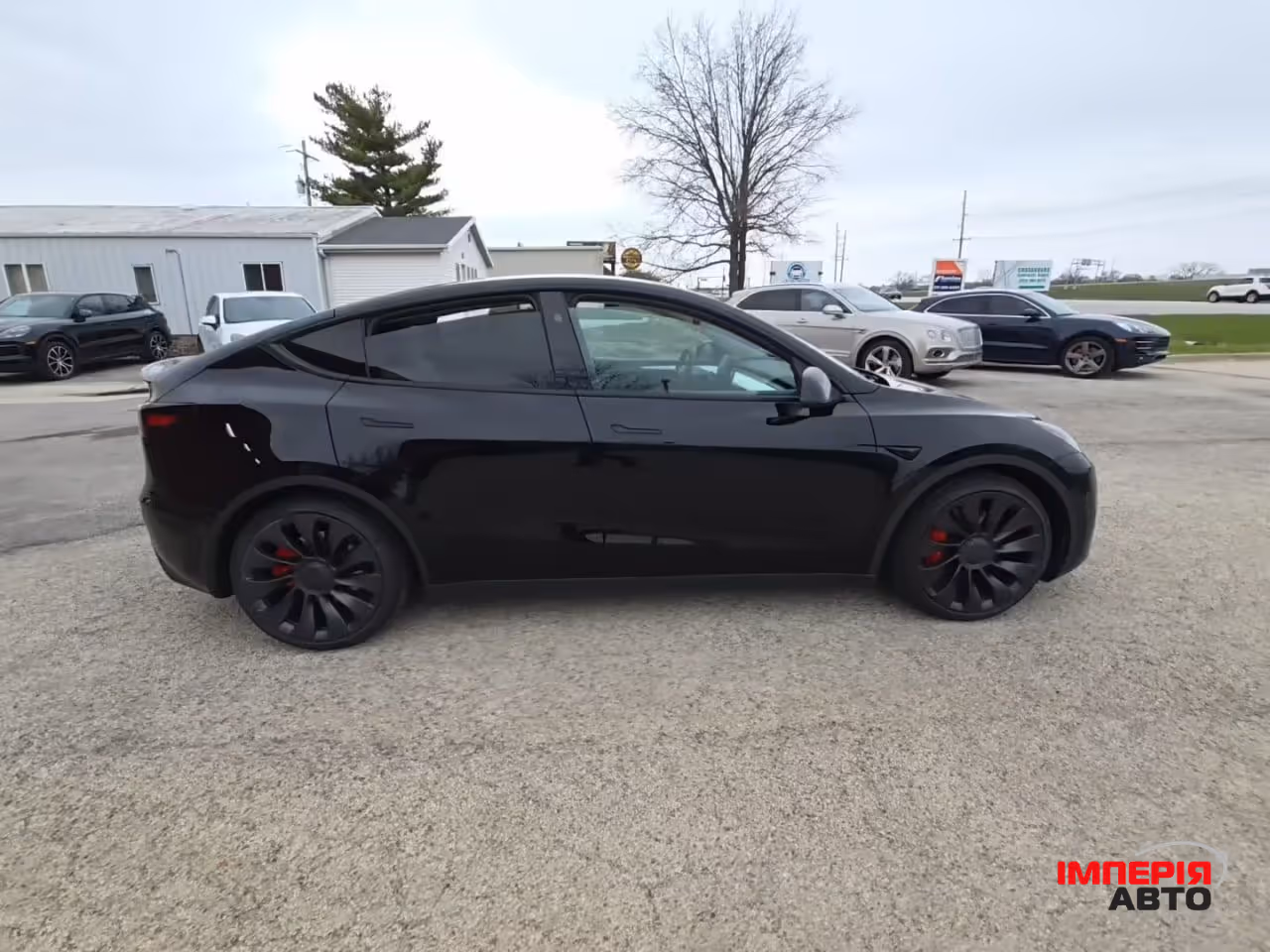 Tesla Model Y - фото 4