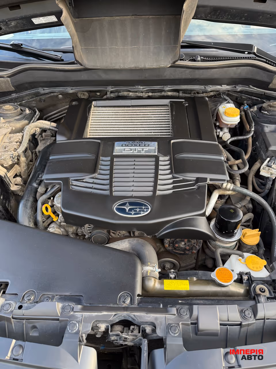 Subaru Forester - фото 25