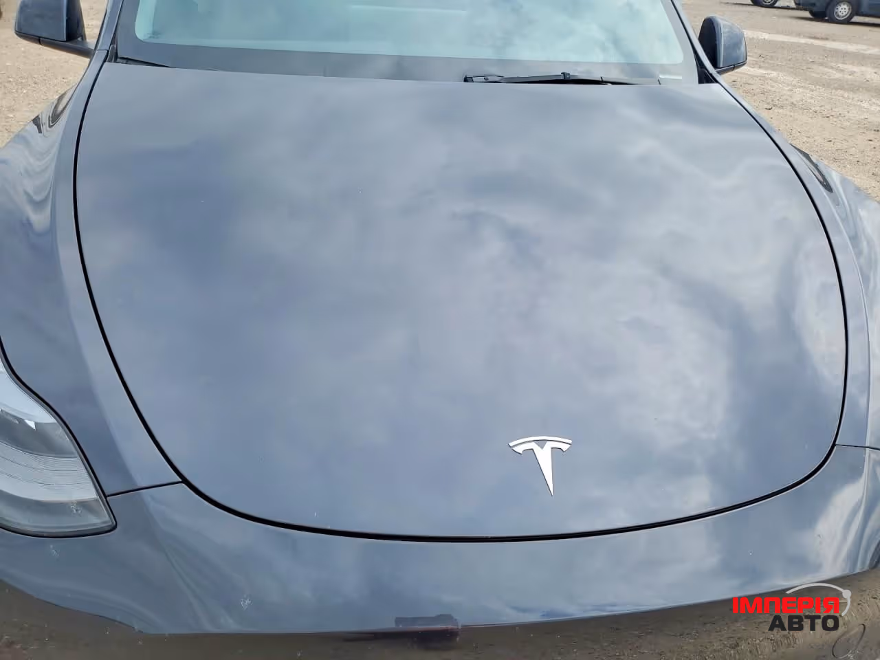 Tesla Model Y - фото 11