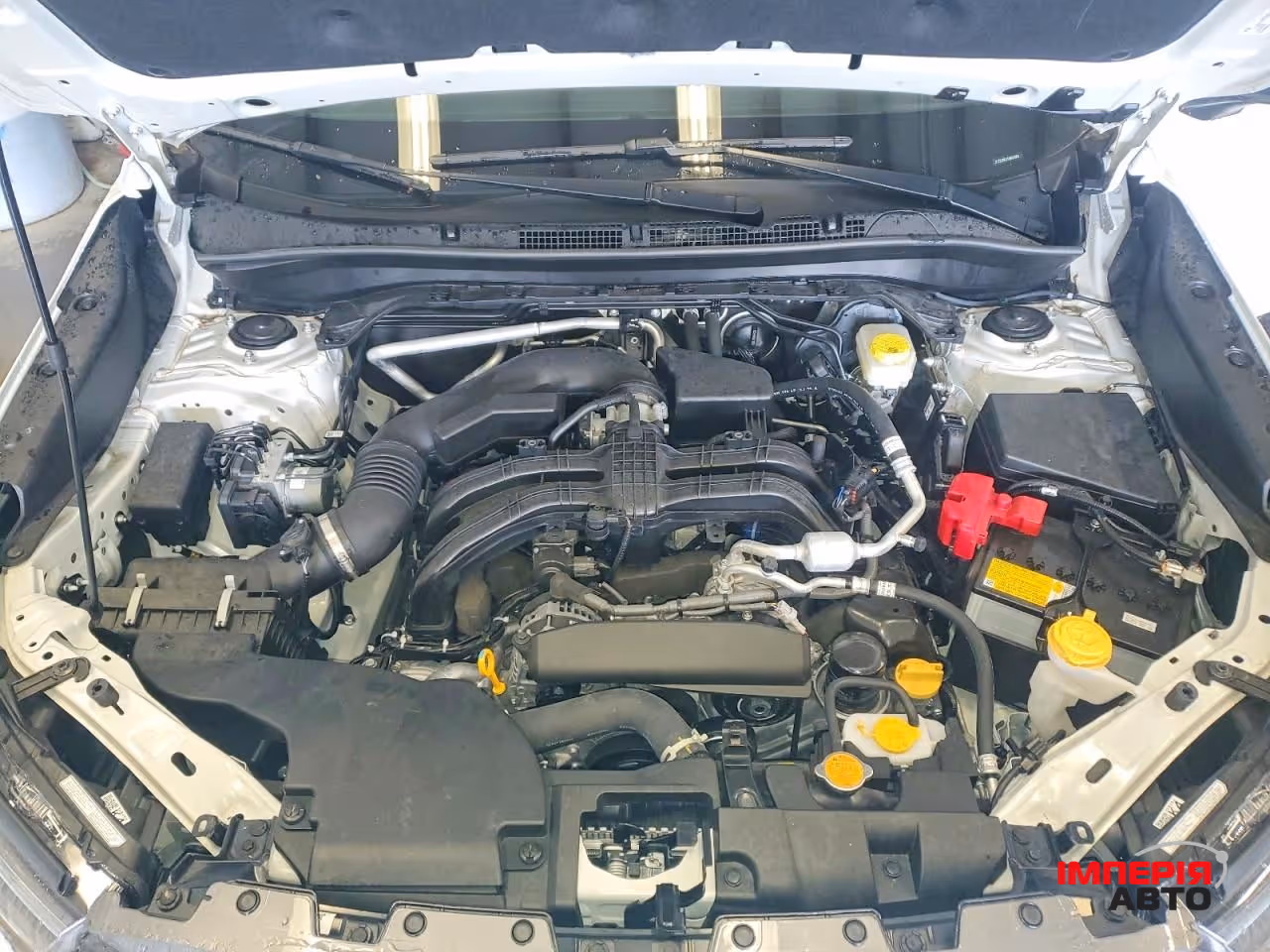 Subaru Forester - фото 12