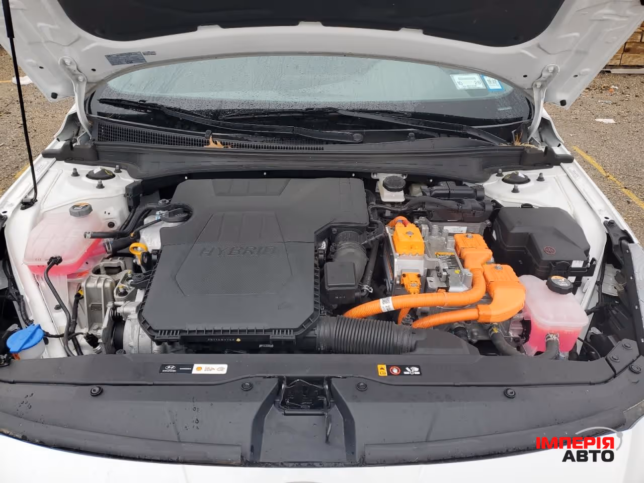 Hyundai Elantra - фото 10