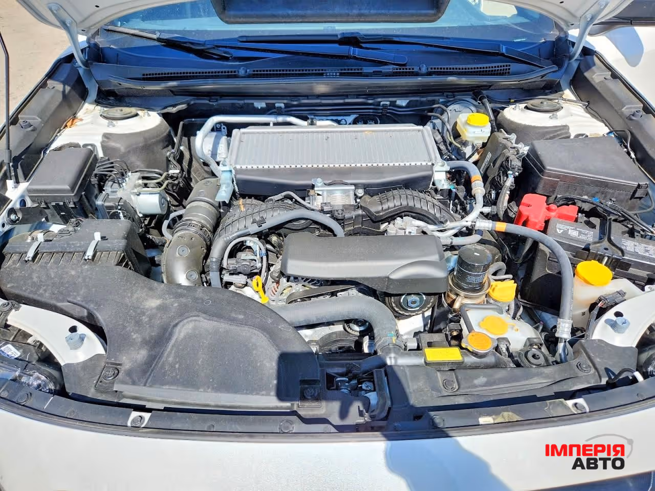 Subaru Outback - фото 11