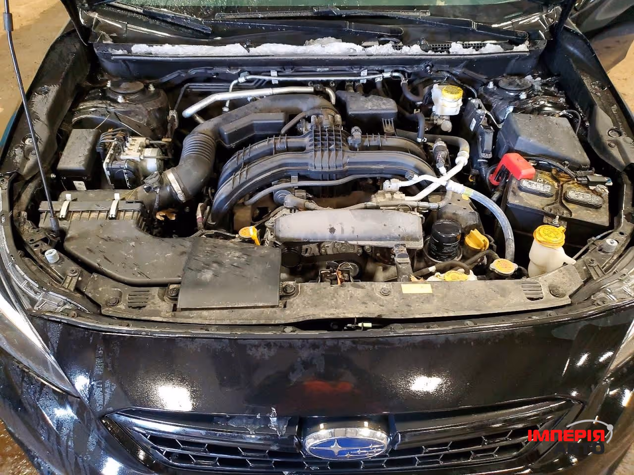 Subaru Impreza - фото 11