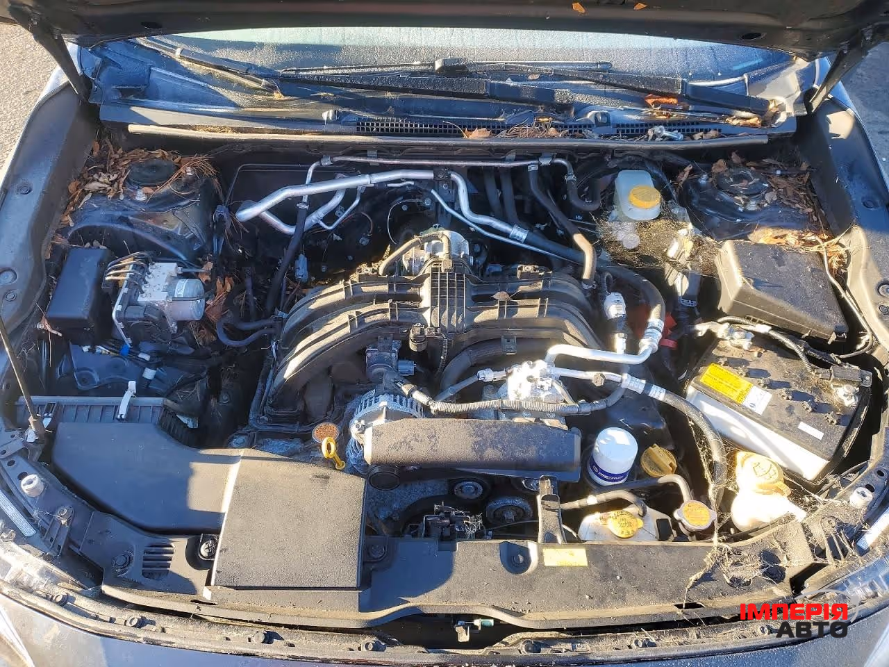 Subaru Crosstrek - фото 12