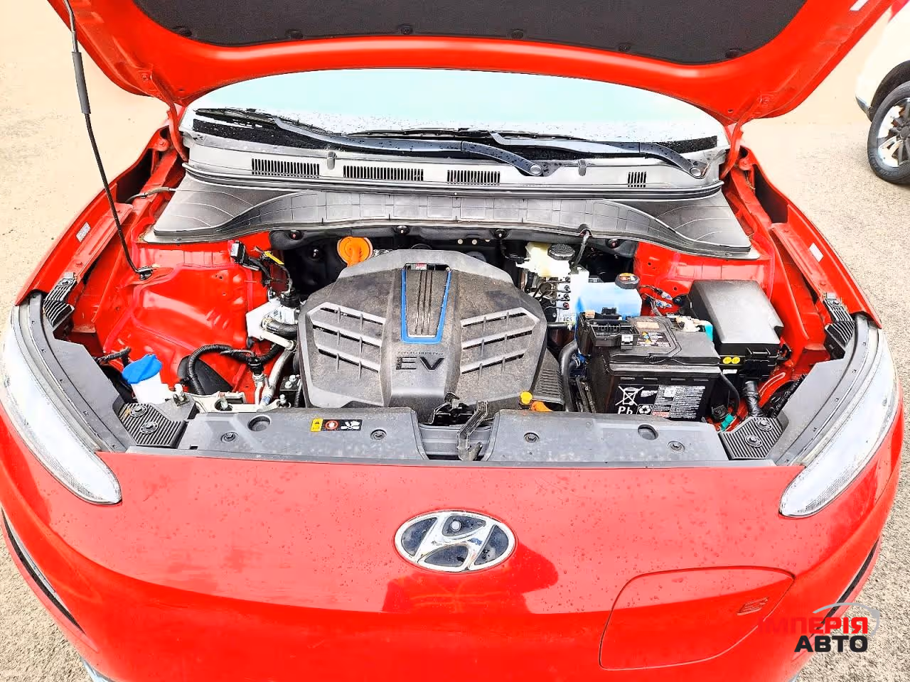 Hyundai Kona - фото 10