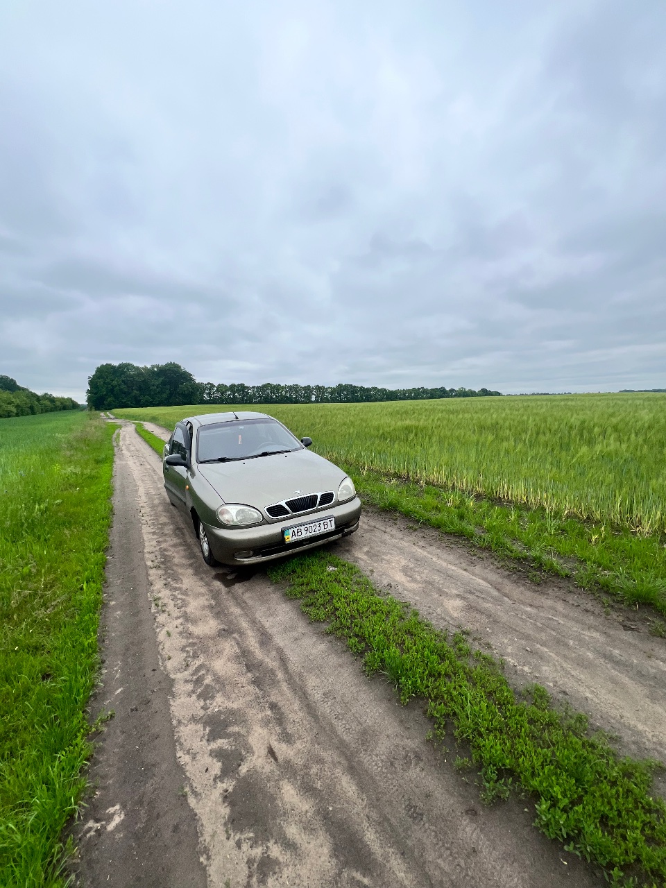 Daewoo Lanos - фото 1