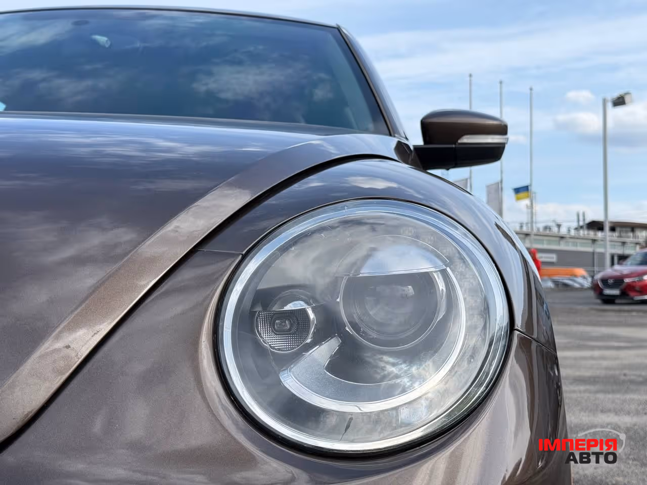 Volkswagen Beetle - фото 23