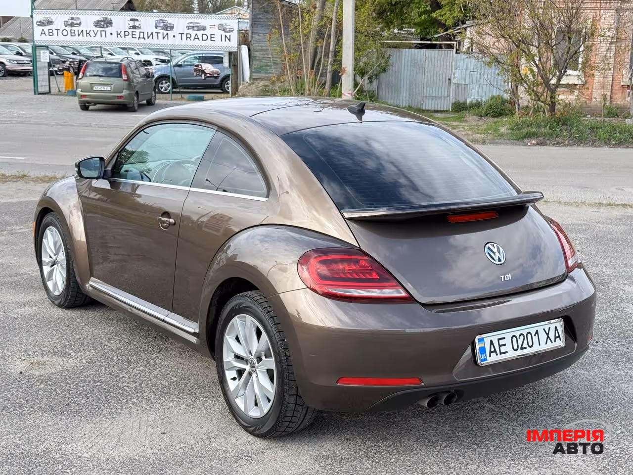 Volkswagen Beetle - фото 11