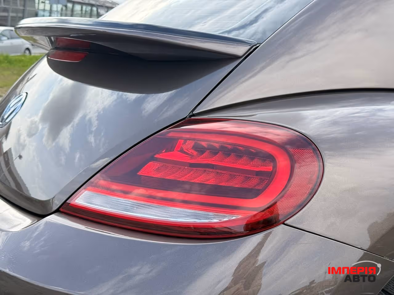 Volkswagen Beetle - фото 22