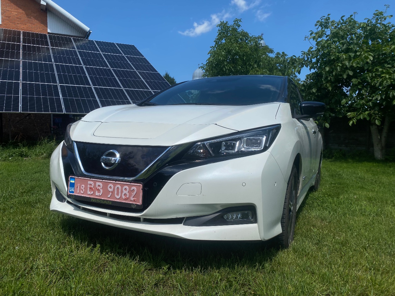 Nissan Leaf - фото 1