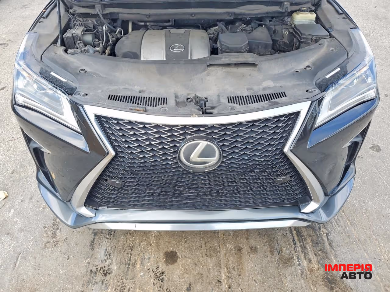 Lexus RX - фото 10