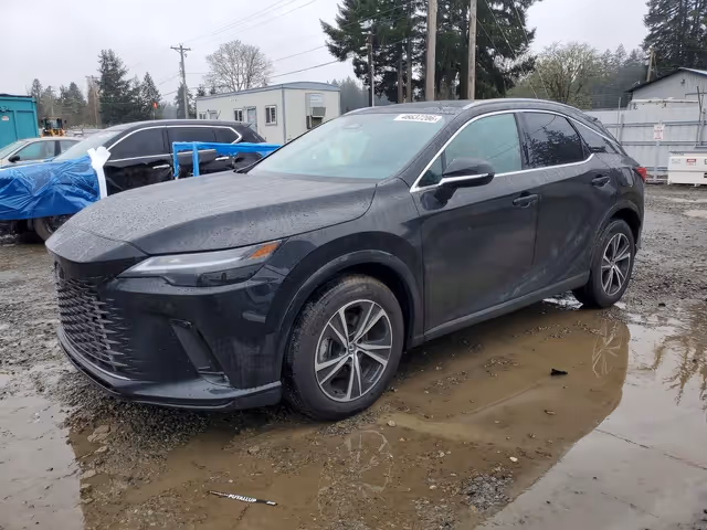 Lexus RX - фото 3