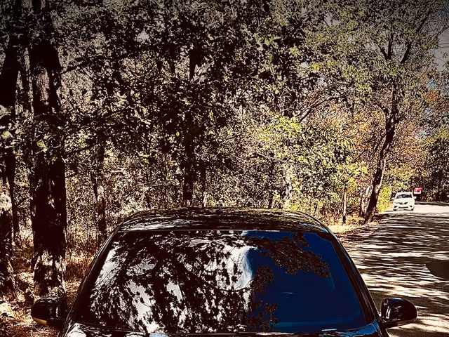 Volkswagen Golf - фото 1