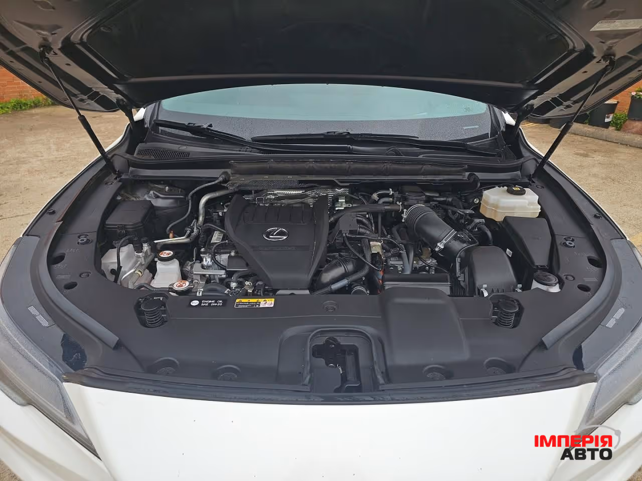 Lexus RX - фото 5