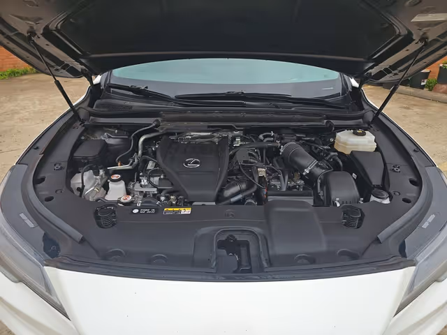 Lexus RX - фото 5