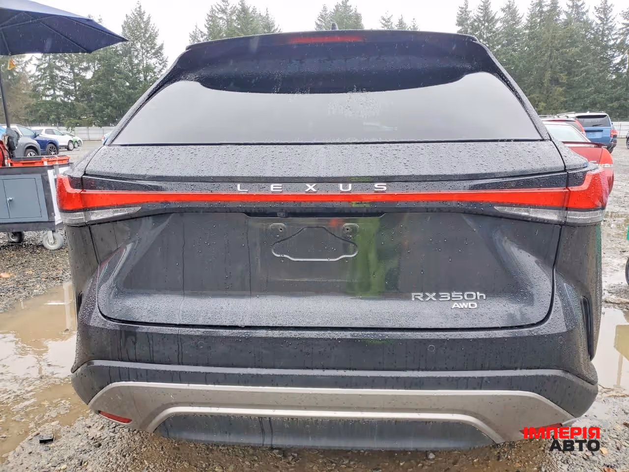 Lexus RX - фото 6