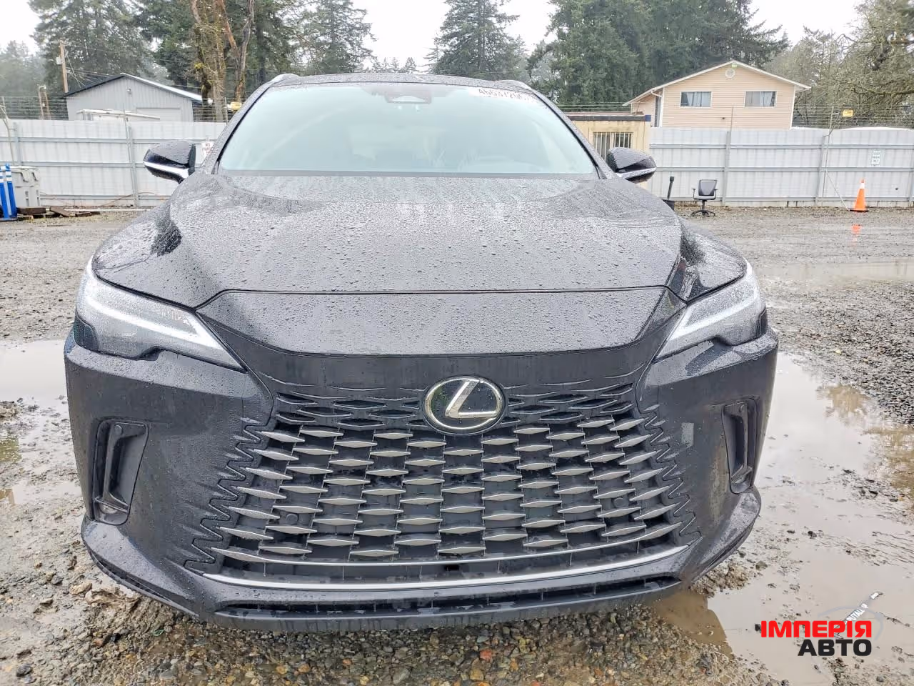 Lexus RX - фото 5