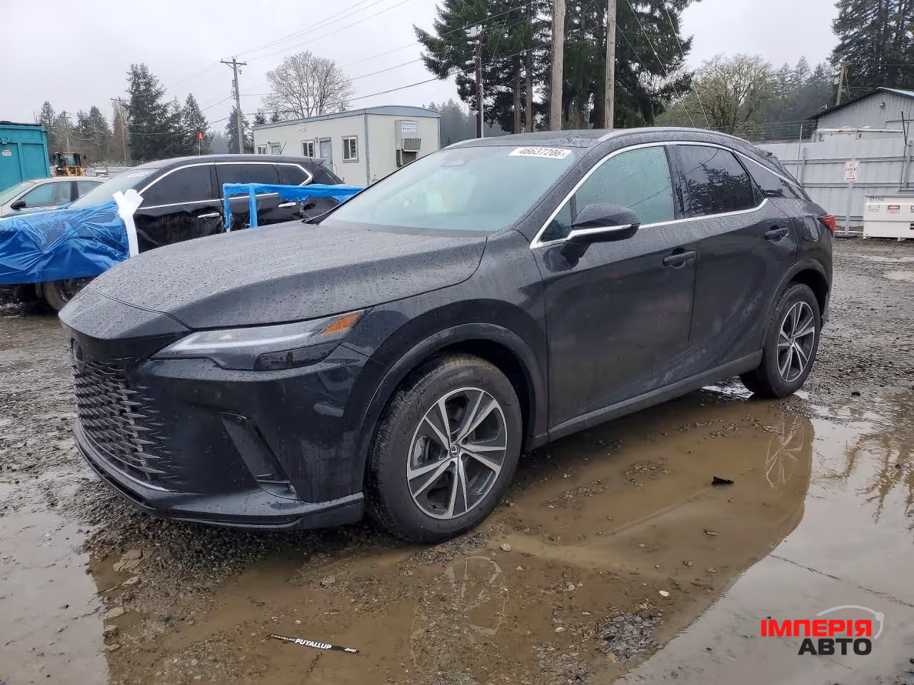 Lexus RX - фото 1