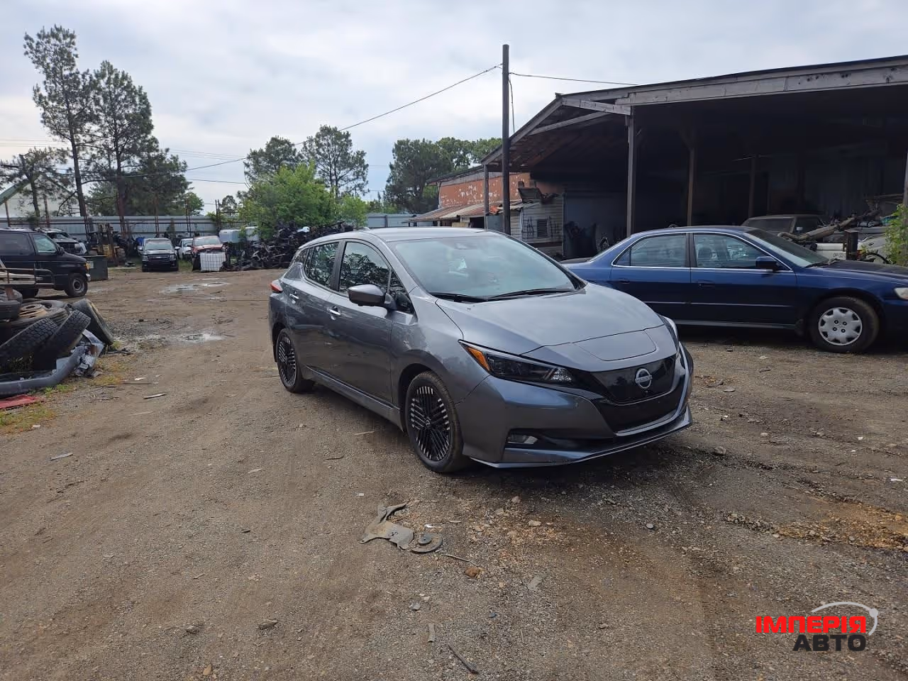 Nissan Leaf - фото 1