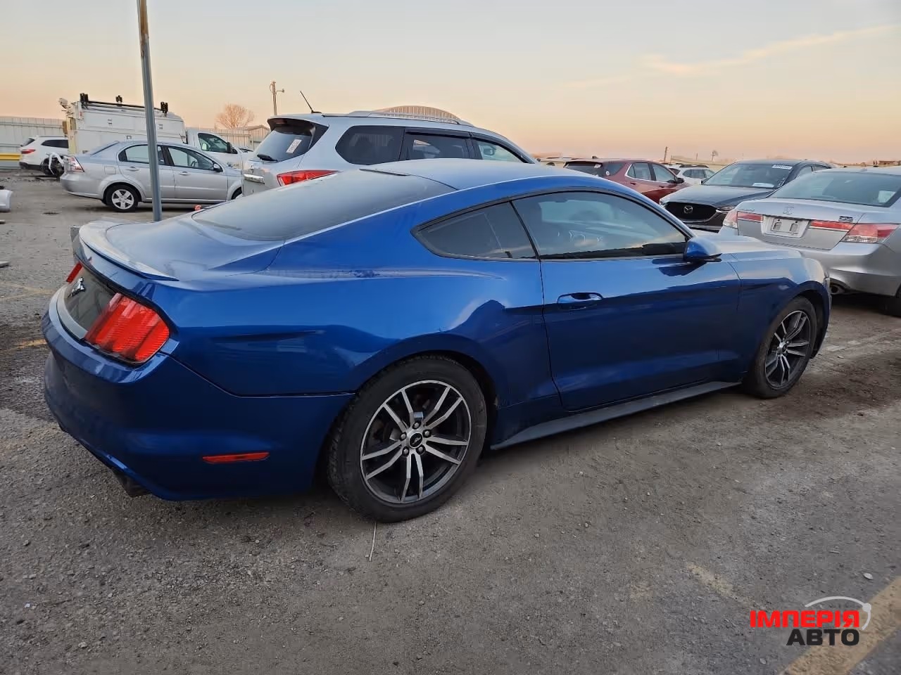 Ford Mustang - фото 6