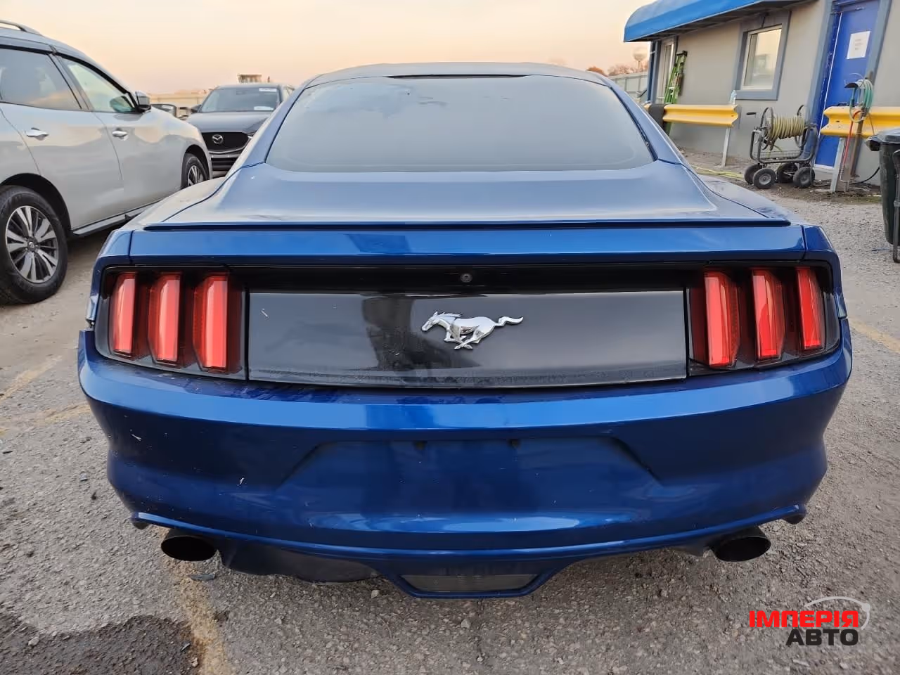 Ford Mustang - фото 5