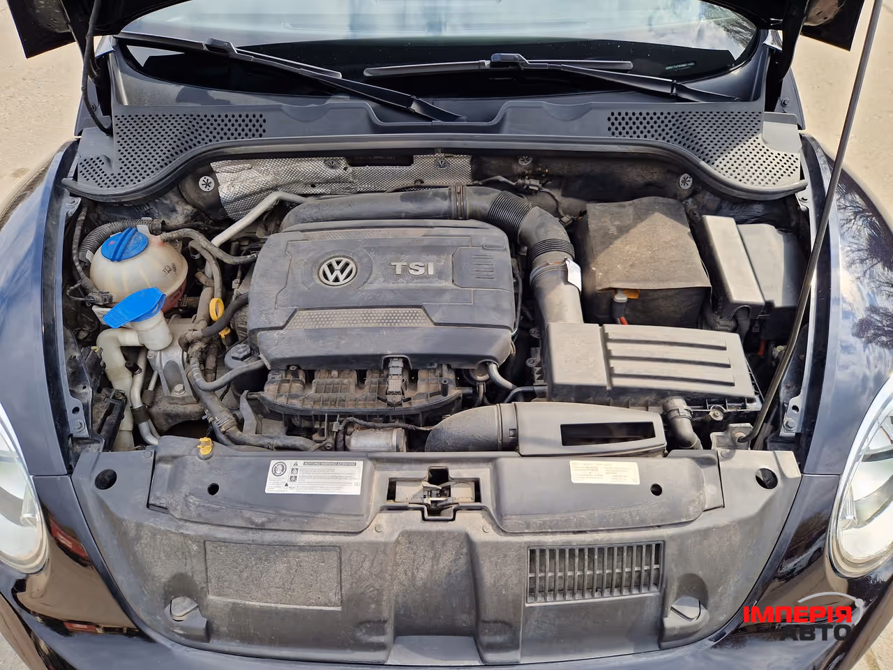 Volkswagen Beetle - фото 32