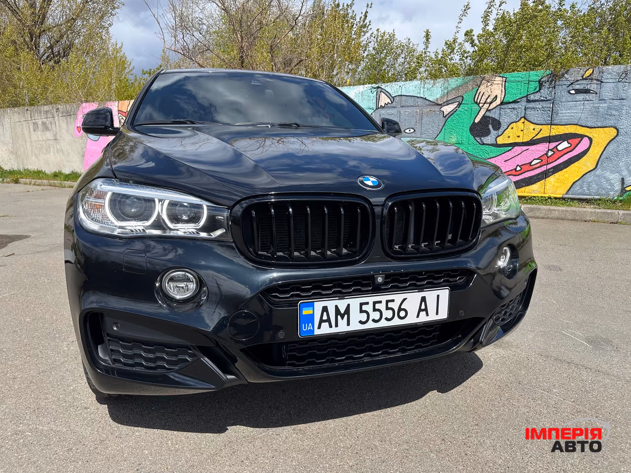 BMW X6 - фото 11