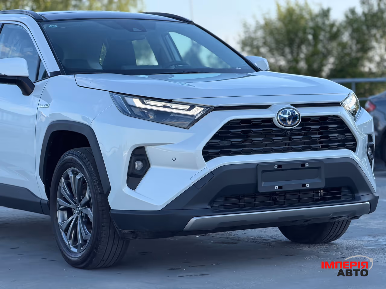 Toyota RAV4 - фото 6