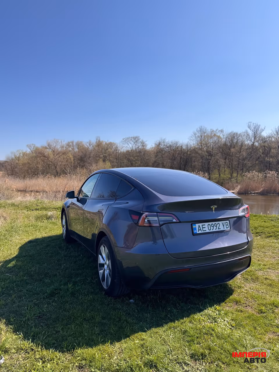 Tesla Model Y - фото 2