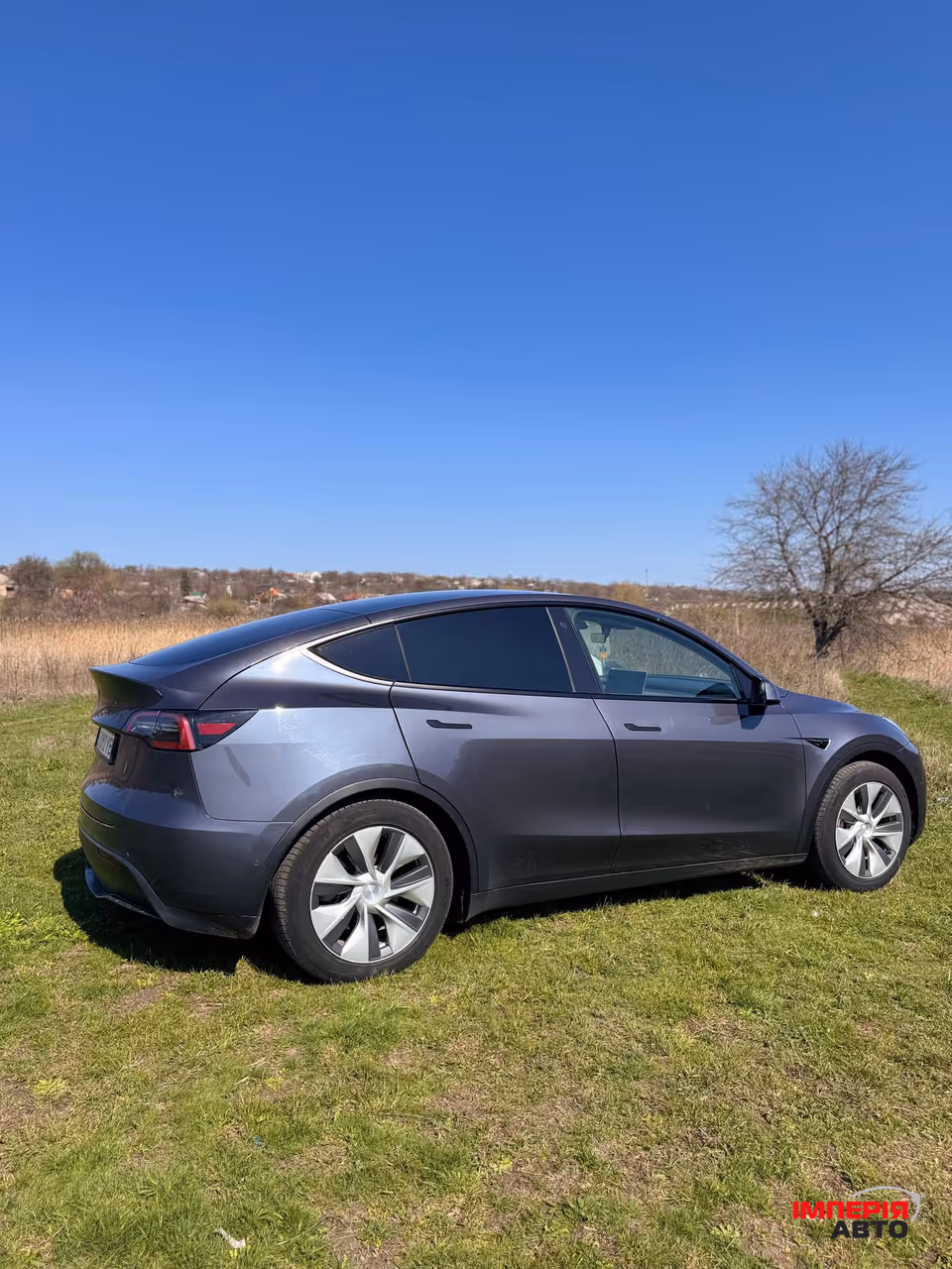 Tesla Model Y - фото 6