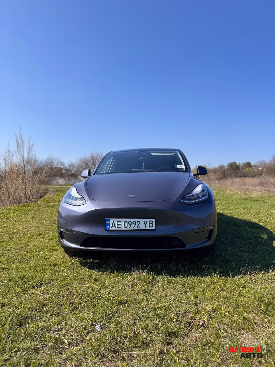 Tesla Model Y - фото 8
