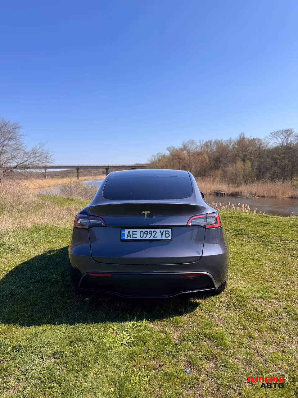 Tesla Model Y - фото 3