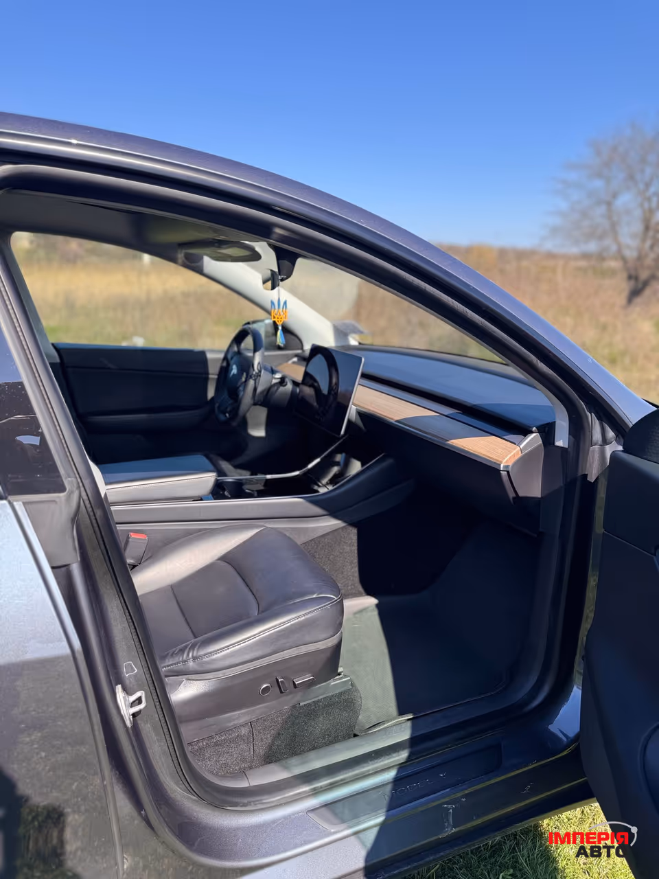 Tesla Model Y - фото 14